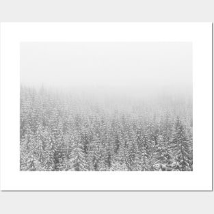 Winter Landscape Posters and Art